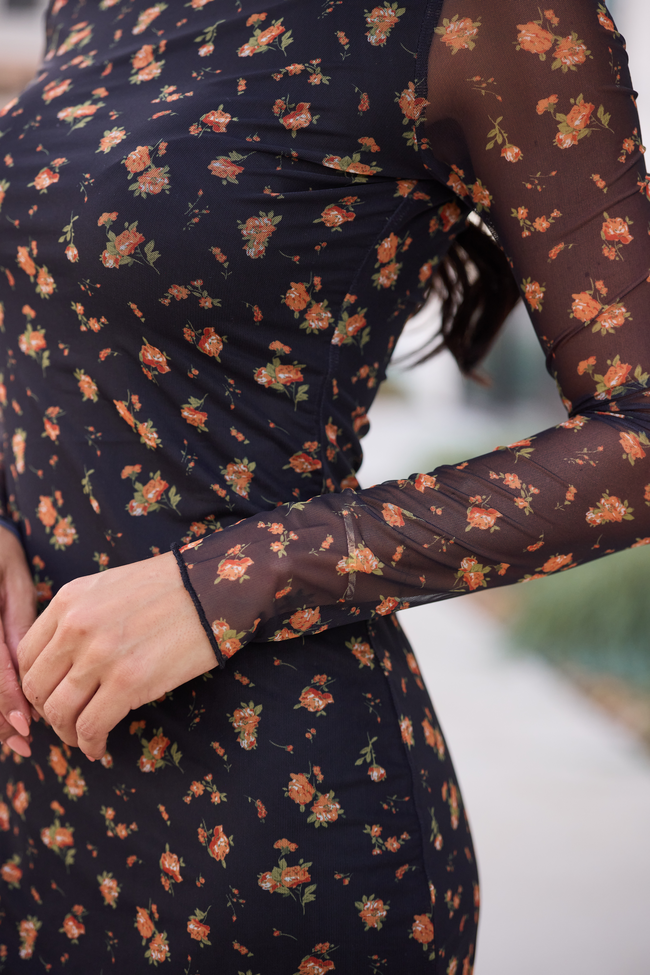 Drake Black Floral Mesh Maxi Dress FINAL SALE